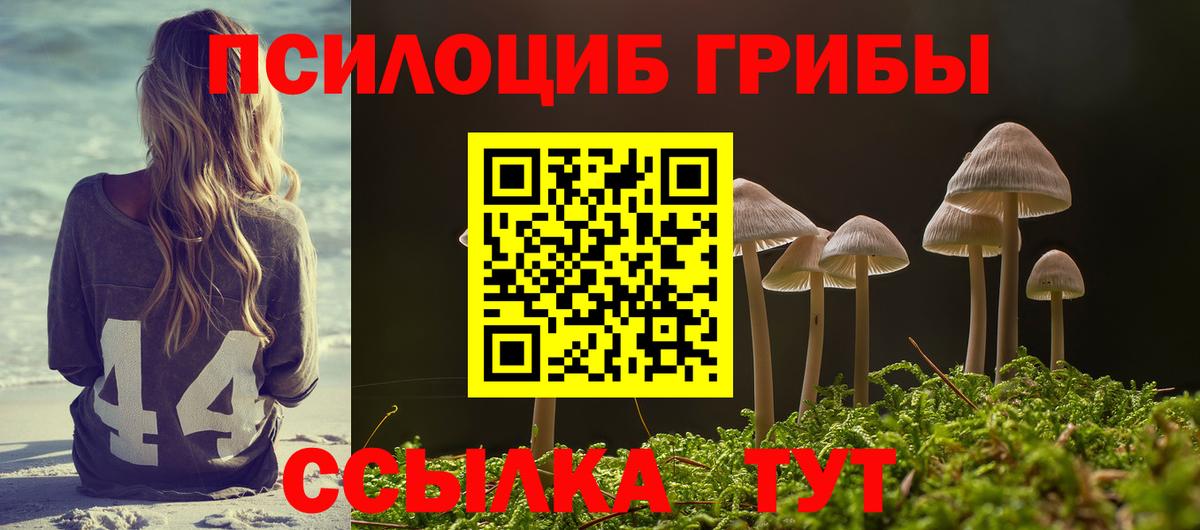 Псилоцибиновые грибы Cubensis  где найти наркотики  Киров 