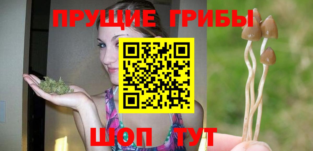 Галлюциногенные грибы Psilocybe  Псилоцибиновые грибы Cubensis  Киров  Вход с VPN 